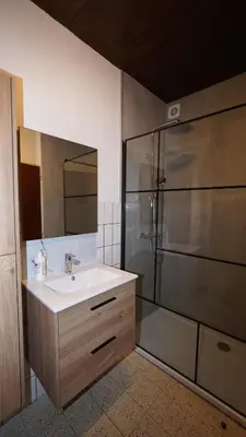 a bathroom with a sink and a shower at Simon Apartment in Antwerp