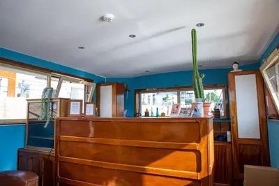 a bar with a cactus sitting on top of it at Hotel The Boatel in Ghent