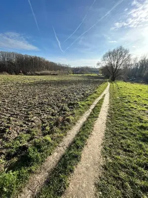 a dirt road in the middle of a field at 't Cravael in Meldert