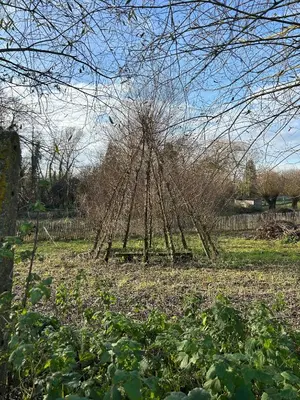 a tree structure in the middle of a field at 't Cravael in Meldert