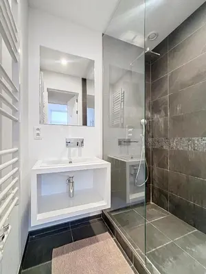 a bathroom with a sink and a shower at Penthouse Cinquantenaire in Brussels