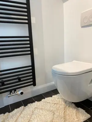 a bathroom with a white toilet and a rug at The Conservatory, a cosy private attic located central between Ghent Antwerp Brussels in Lokeren