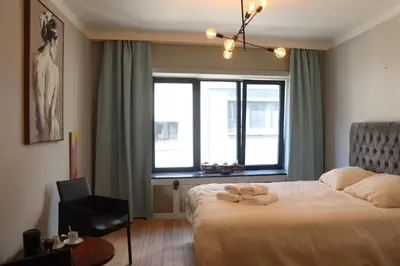 a bedroom with a large bed and a window at Cozy Room, Big City Adventures III in Ghent