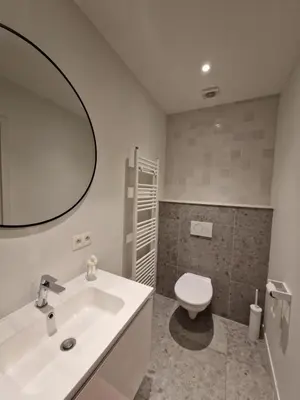 a bathroom with a sink and a toilet and a mirror at Cozy Room, Big City Adventures III in Ghent