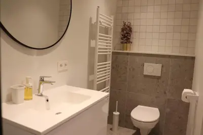 a bathroom with a sink and a toilet and a mirror at Cozy Room in the Heart of Ghent I in Ghent