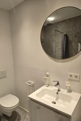 a bathroom with a sink and a toilet and a mirror at Charming Room in Ghent center II in Ghent