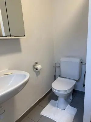 a bathroom with a white toilet and a sink at Charming Uccle Apartment with City Views in Brussels