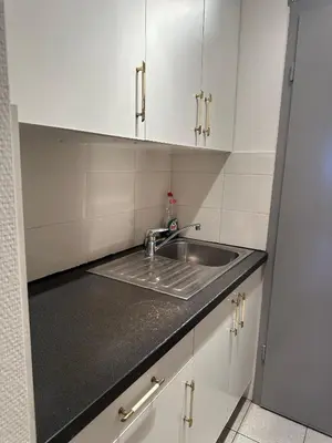 a kitchen with a sink and white cabinets at Charming Uccle Apartment with City Views in Brussels