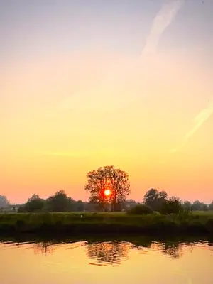 a sunset over a tree in front of a body of water at B&B near Ghent in Merelbeke