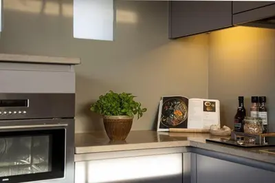 a kitchen with a counter with a plant on it at Waterfront vacation home in Sint-Amands