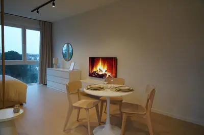 a living room with a table and a fireplace at Cosy and Fully Equipped Studio in Antwerp