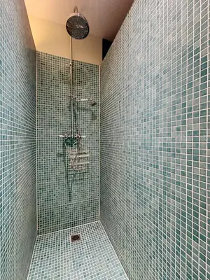 a bathroom with a shower with blue tiled walls at Bruxelles Midi in Brussels