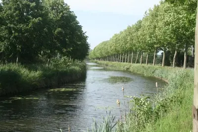 a river with trees on the side of it at Wahwo Baki in Wachtebeke