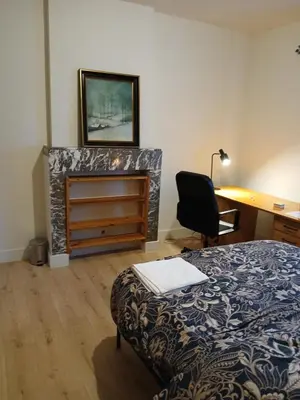 a room with a bed and a dresser and a desk at Bloemetje in Asse