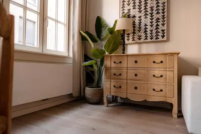 a bedroom with a dresser and a potted plant at Cathedral View luxurious Apartment in Antwerp