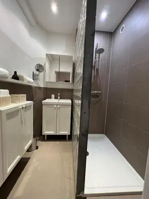 a bathroom with a shower and a sink at Plein centre de Waterloo! 1 in Waterloo