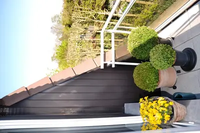 a set of stairs with plants and flowers on them at Lindehof Serviced Flats in Zoersel