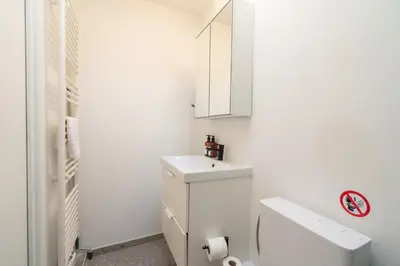 a white bathroom with a toilet and a sink at Gezellig, knusse en gerenoveerde rijwoning 4p in Ghent