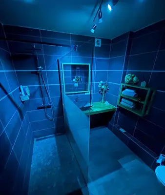 a blue bathroom with a shower and a sink at Air Bey Penthouse in Brussels