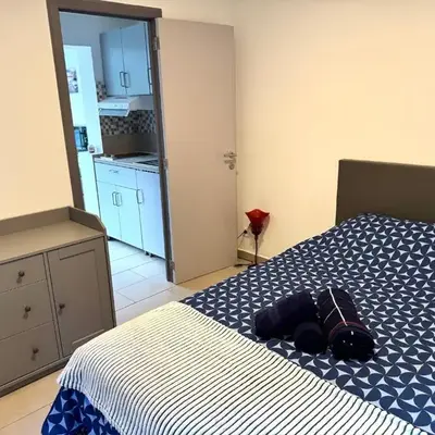 Appartement cosy à Bruxelles métro Vandervelde