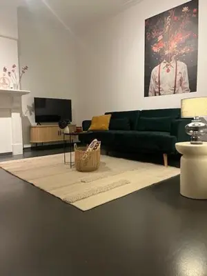 a living room with a green couch and a rug at Bloss III Zonnige studio met dakterras in Ghent