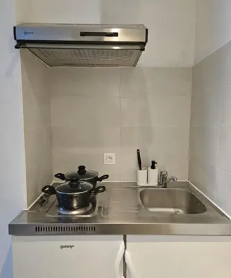 a kitchen with a sink and a pot on a stove at Studio Brussels centre in Brussels