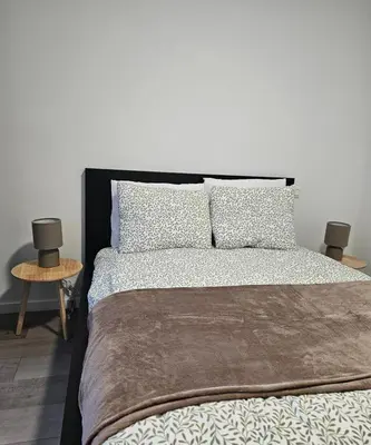 a bedroom with a large bed with two pillows at Brussels apartment with terrace 1 in Brussels