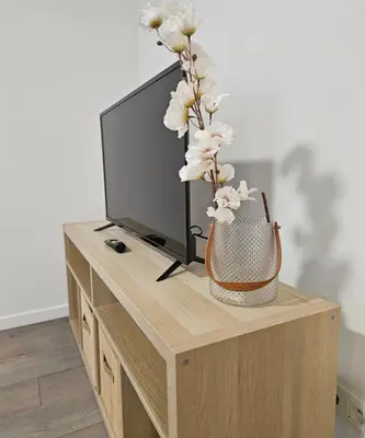 a table with a tv and a vase with flowers at Brussels apartment with terrace 1 in Brussels