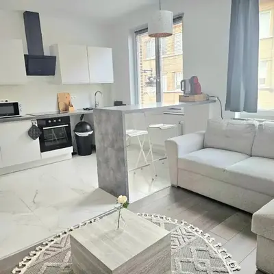 Brussels apartment with terrace 1