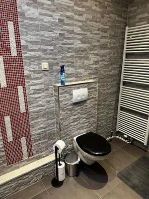 a bathroom with a toilet with a black seat at Antwerp SportPlaza in Antwerp