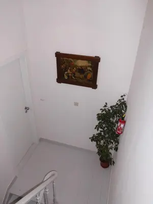 a hallway with a plant and a painting on the wall at Aparthotel Midi Residence in Brussels