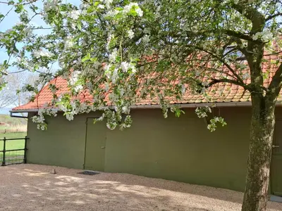 a green garage with a tree in front of it at Huis-Chalet aan Puyenbroeck in Wachtebeke