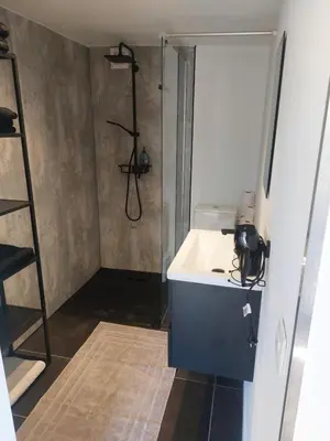 a bathroom with a shower and a white sink at Huis-Chalet aan Puyenbroeck in Wachtebeke