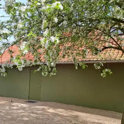 Huis-Chalet aan Puyenbroeck