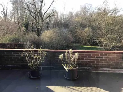 two potted plants sitting on top of a brick wall at Cosy attic apartment, terrace, 1 bedroom, double bed for 2 plus single bed if 3 guests in Buggenhout