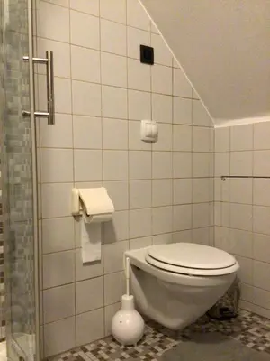 a bathroom with a white toilet in a room at Cosy attic apartment, terrace, 1 bedroom, double bed for 2 plus single bed if 3 guests in Buggenhout