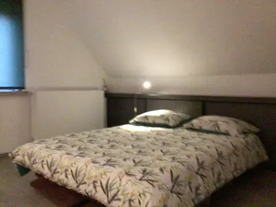 a bedroom with a large bed in a room at Entire first floor, kitchen, bathroom, roofterrace, 1 bedroom if max 3 guests or 2 bedrooms if max 5 guests in Buggenhout