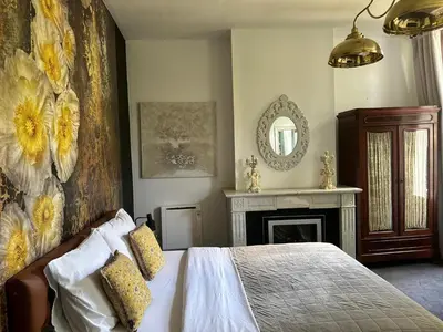 a bedroom with a bed with a fireplace and a mirror at Happy Home in Brussels
