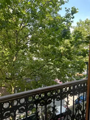 a view of a tree from a balcony at Happy Home in Brussels