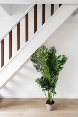 a plant in a room under a staircase at Inviting 5-Person Duplex in Vibrant Antwerp in Antwerp