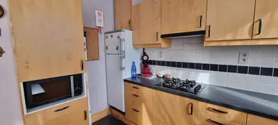a kitchen with wooden cabinets and a white refrigerator at Appartement Ruggeveld in Antwerp