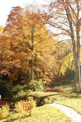 a garden in the fall with trees and a fence at Superb house in absolute calm in Linkebeek
