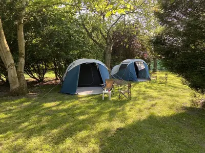 two tents sitting in the grass in a field at Pop-Up camping close to festival - Ganzendrieshoeve in Rumst