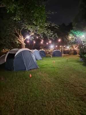 a group of tents in a field at night at Pop-Up camping close to festival - Ganzendrieshoeve in Rumst