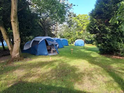 a group of tents in a field with trees at Pop-Up camping close to festival - Ganzendrieshoeve in Rumst