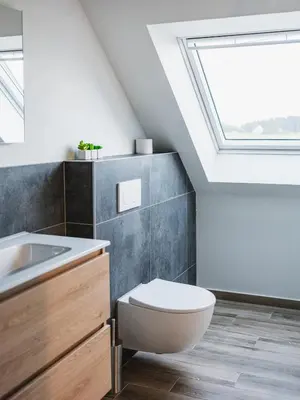 a bathroom with a toilet and a skylight at Sheela Farm in Rumst