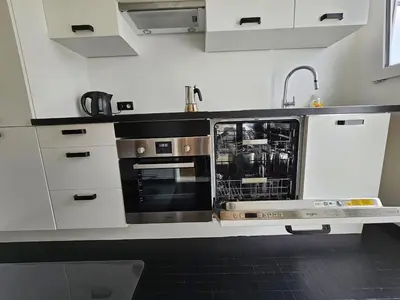 a kitchen with a stove and a dishwasher at Studio El - Cozy Bright Flat in the Green Corner of Antwerp in Antwerp
