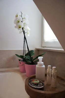 a bathroom counter with a sink with a vase with flowers at Guest house La Maison Chantecler in Brussels