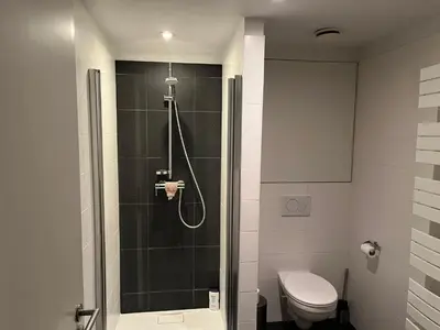 a bathroom with a shower and a toilet at Brussels European flat in Brussels