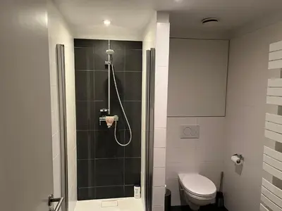 a bathroom with a shower and a toilet at Brussels European flat in Brussels